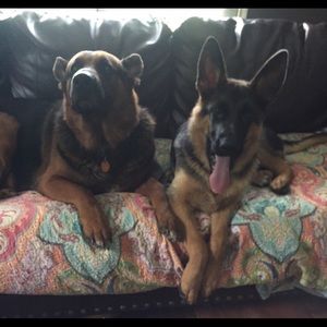 Meet your Posher, Leslie